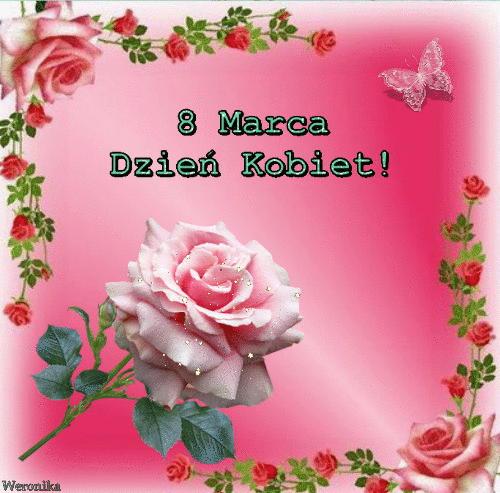 Różowa błyszcząca róża na dzień kobiet